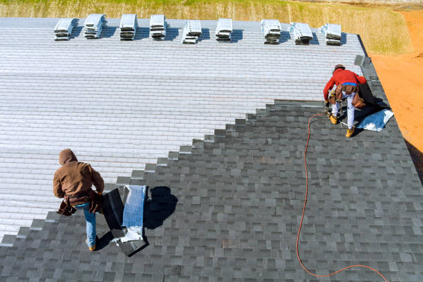 Best Roof Gutter Cleaning  in Meridianville, AL