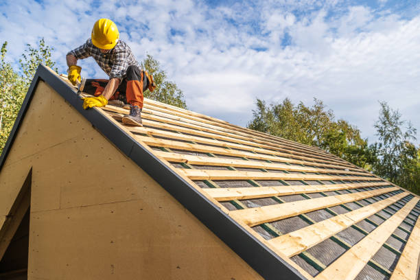 Best Roof Repair Services  in Meridianville, AL