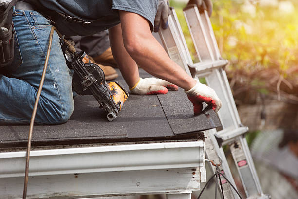 Best Metal Roofing Contractor  in Meridianville, AL