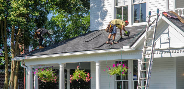 Roof Waterproofing Services in Meridianville, AL