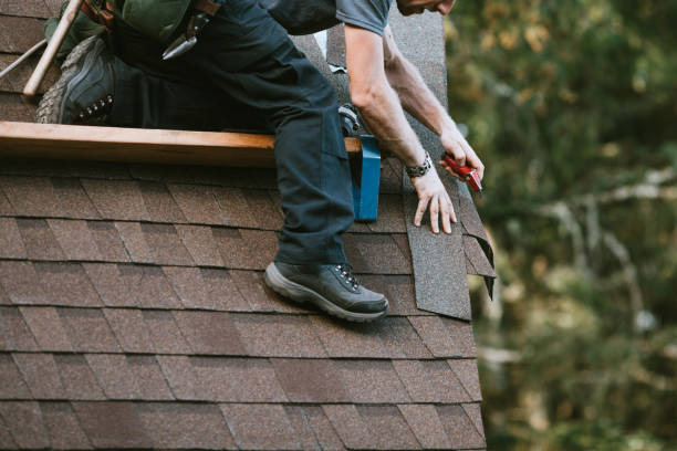 Roof Gutter Cleaning in Meridianville, AL
